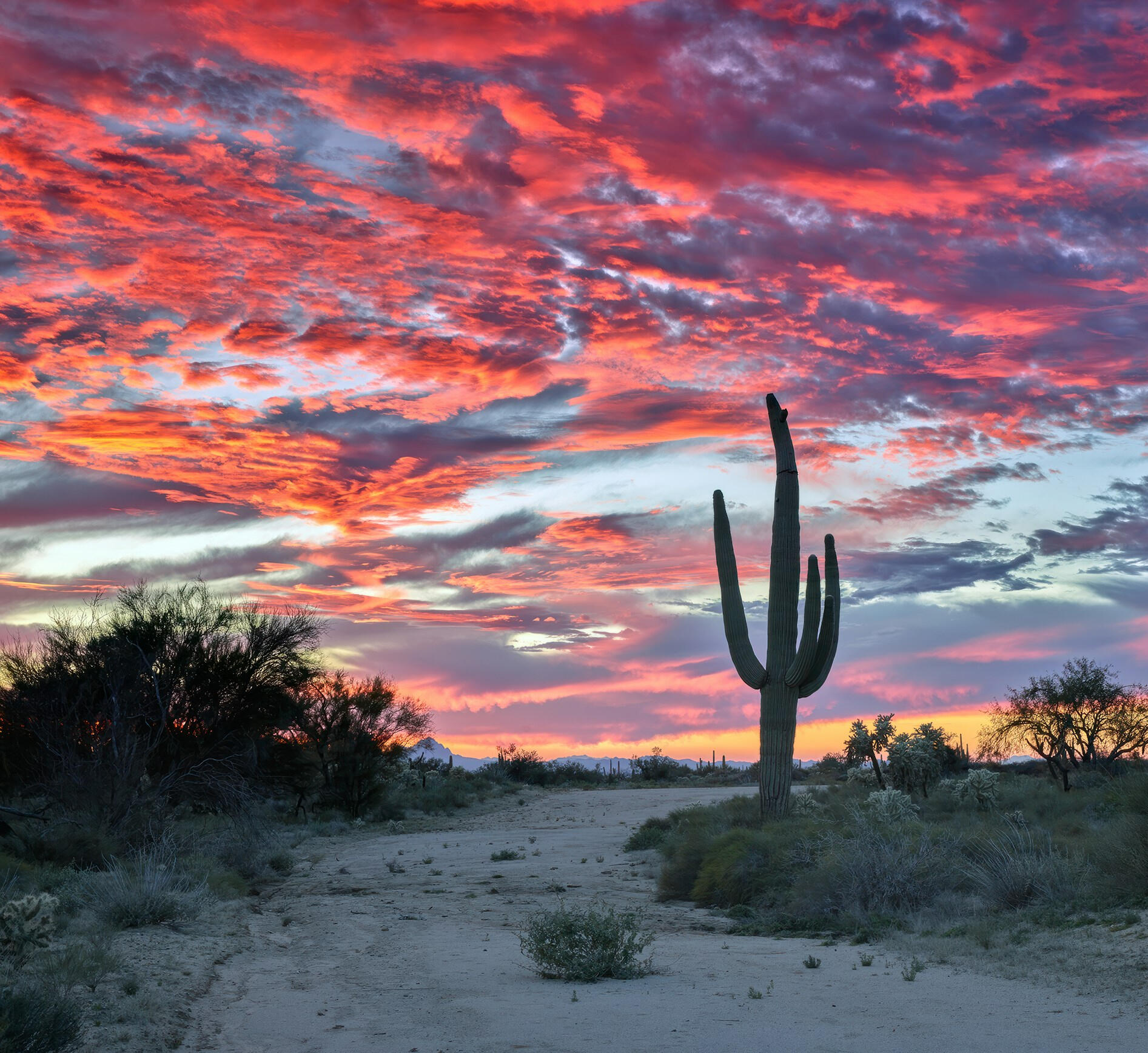 Desert landscape at sunset, symbolizing clarity, calm, and growth.